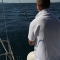 IMG 0641