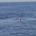 IMG 1048