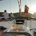 IMG 0817