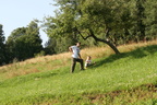 IMG 1588