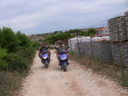 IMG 0200